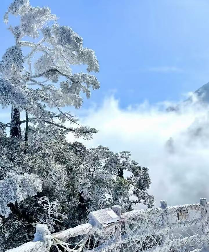 郴州旅游租車(chē)39座